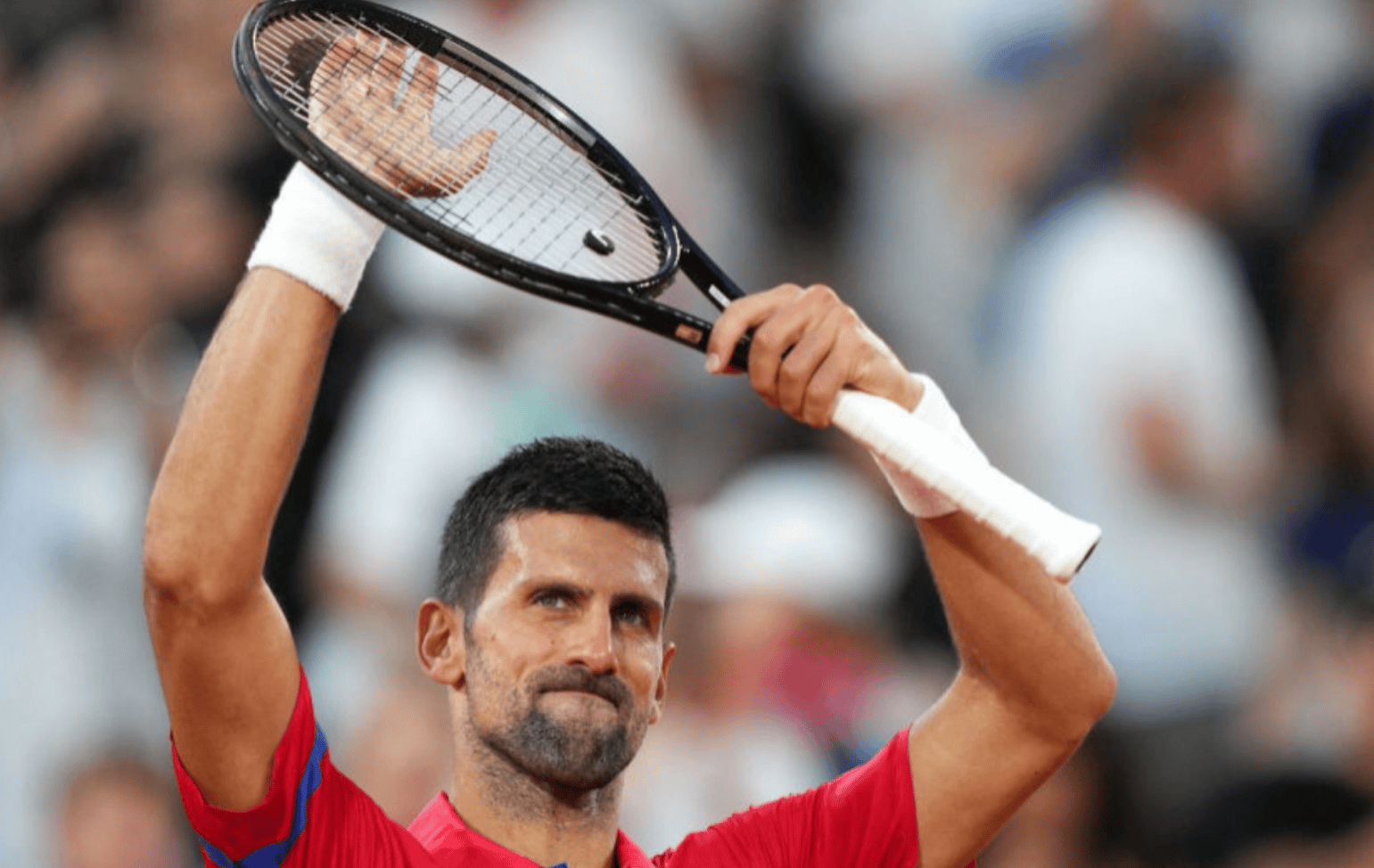 包含美网绝杀年终总决赛，德约科维奇扛起全队的词条