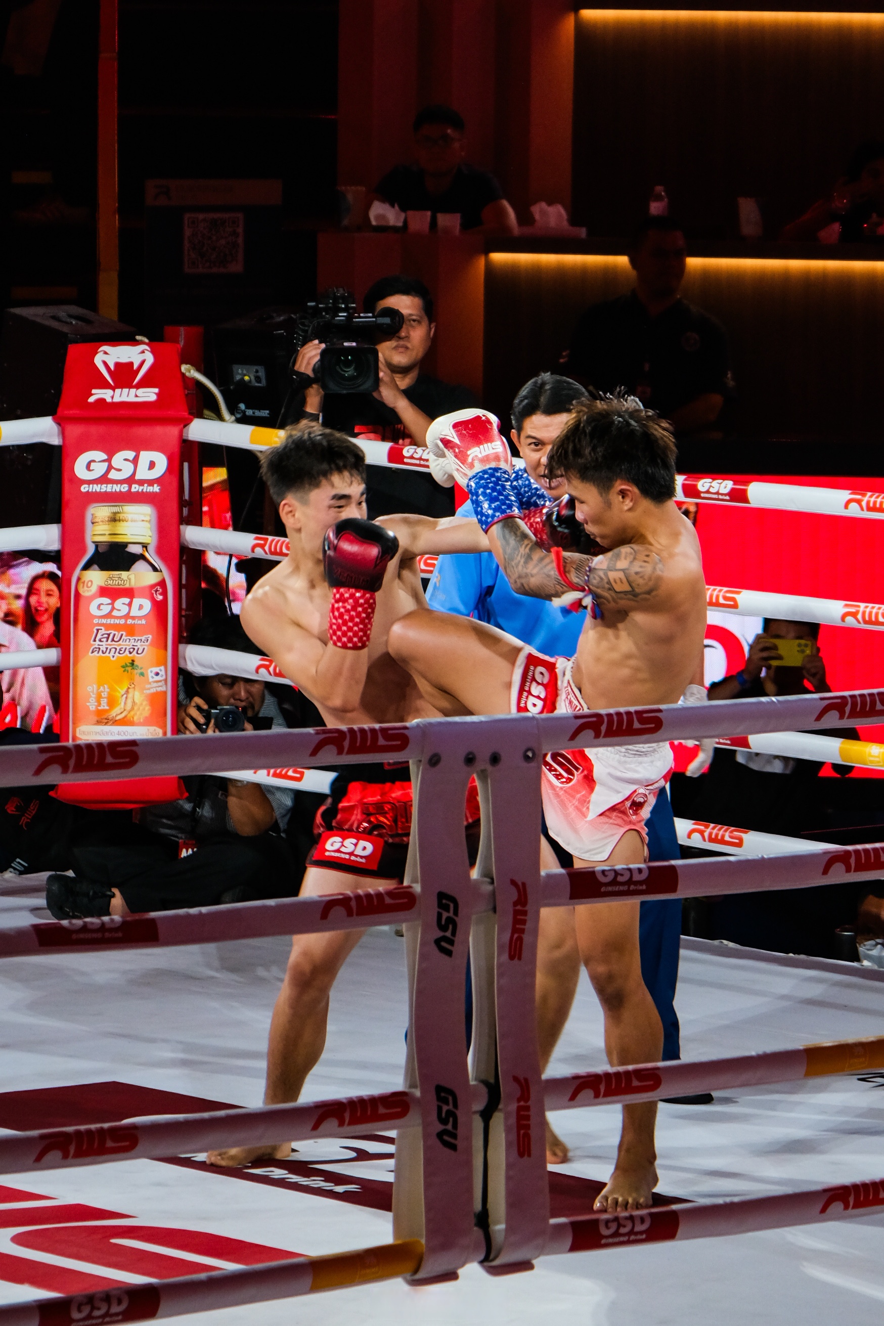 关于泰国队完胜马来西亚队，安赛龙高光表现的信息