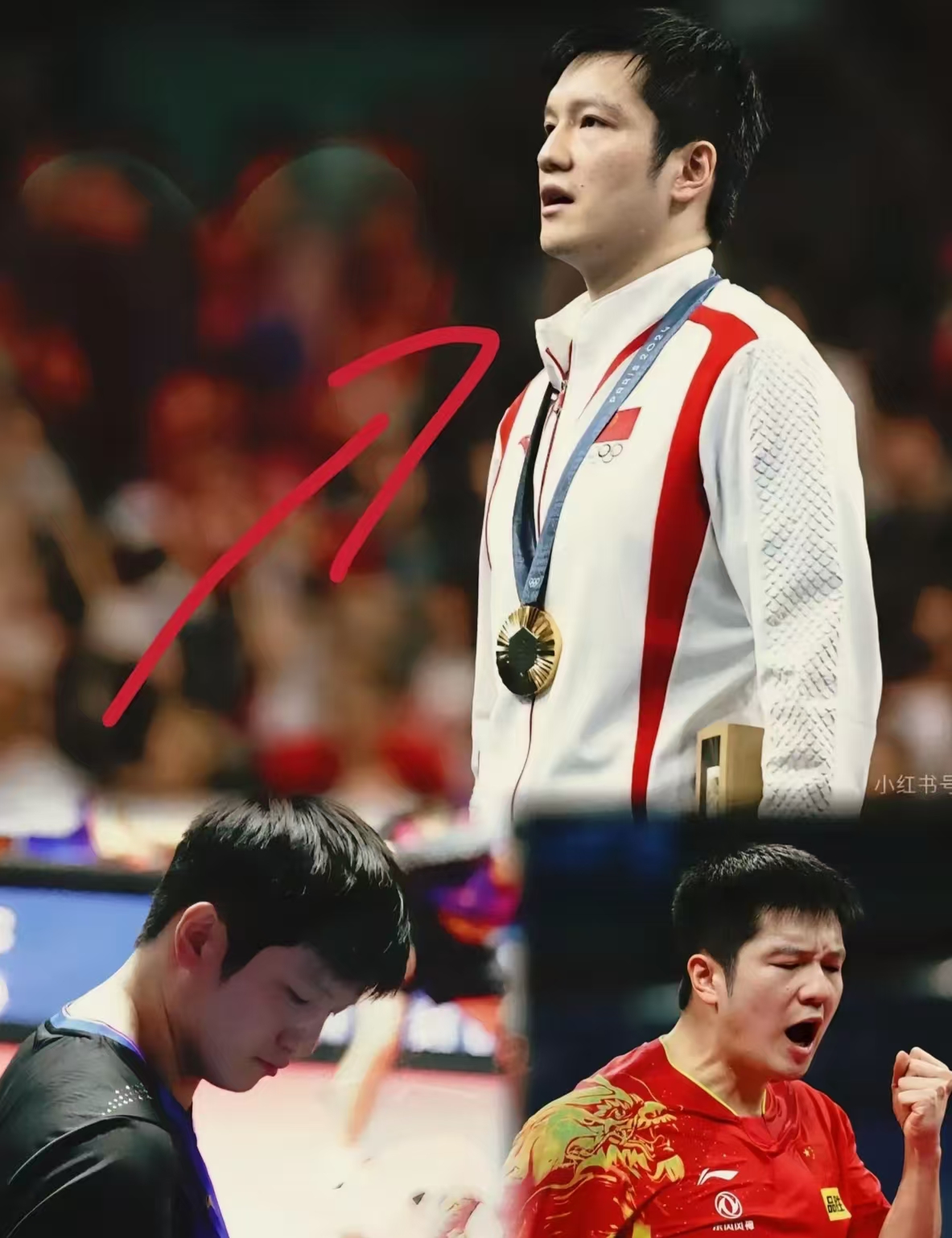 日本队轻取奥地利队,樊振东扛起全队 日本队轻取奥地利队,樊振东扛起全队